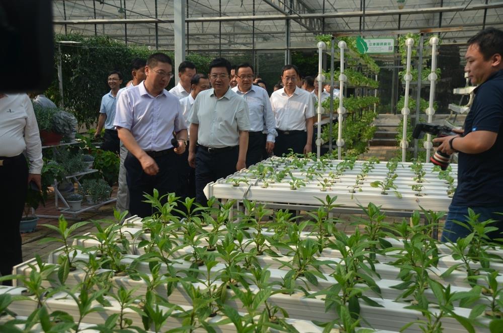 科技助農，播撒光的種子  精準扶貧，助力鄉村振興